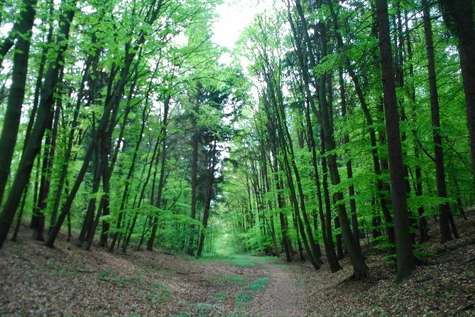 around-prague-beautiful-parks-on-e-bike