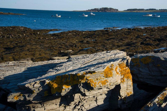 around-the-peninsula-bike-tour