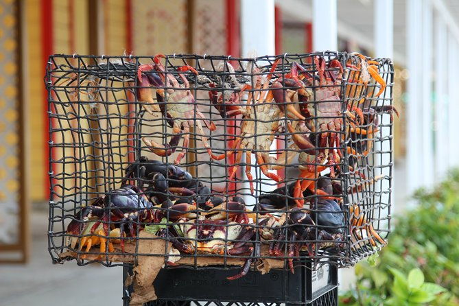 around-town-bahamian-cooking-experience