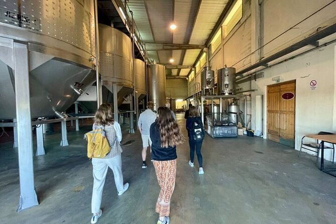 arrabida-and-setubal-all-inclusive-wine-tour-and-food-from-lisbon