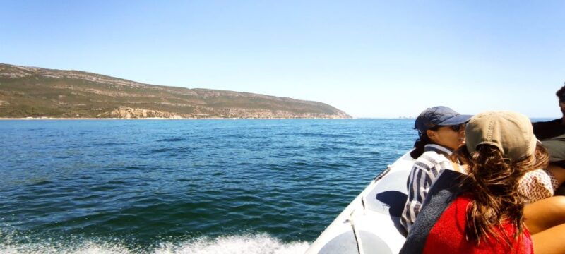 arrabida-boat-tour-experience-lisbon-transfer-available