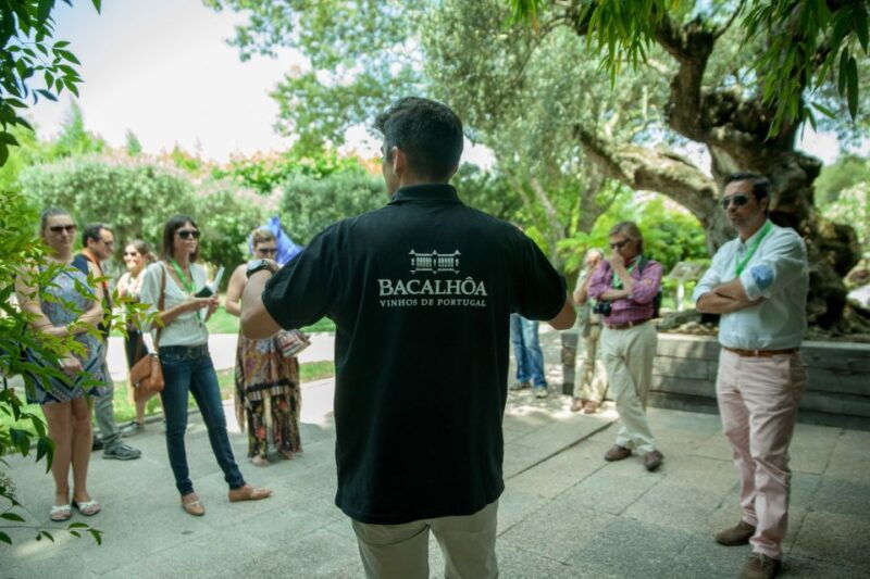 arrabida-full-day-private-tour-with-wine-tasting-2