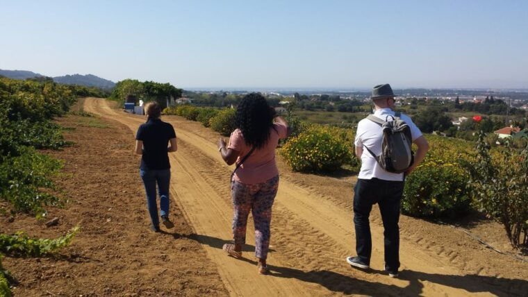 arrabida-full-day-private-tour-with-wine-tasting-2