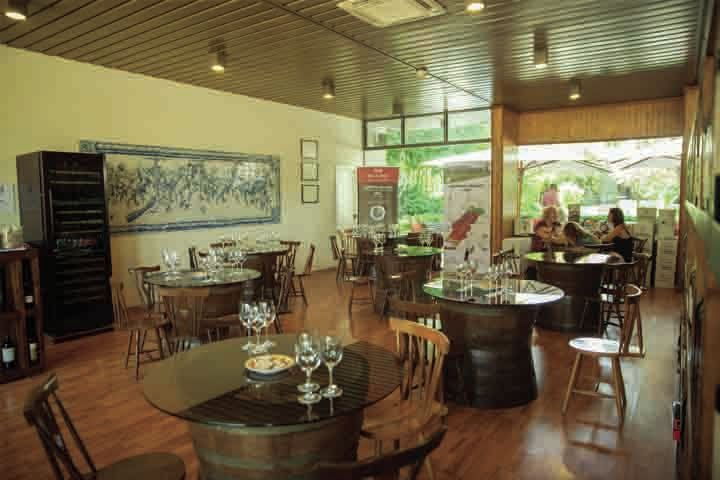 arrabida-full-day-private-tour-with-wine-tasting-2