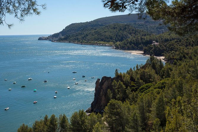 arrabida-full-day-private-tour-with-wine-tasting