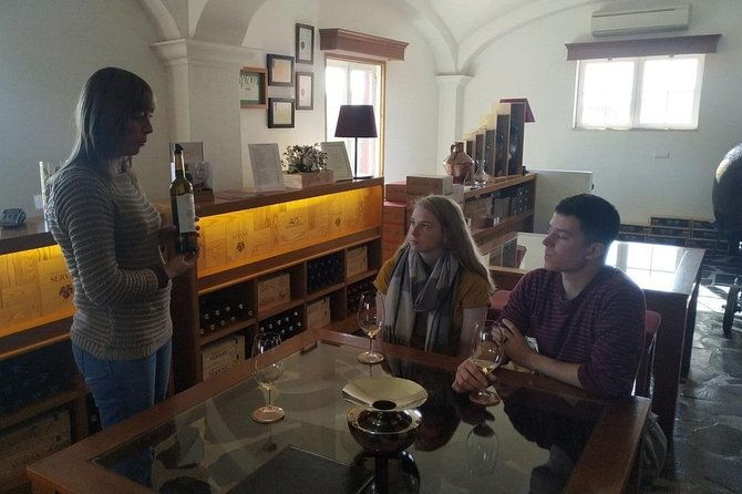 arrabida-palmela-azeitao-wine-and-tapas-4x4-land-rover-panoramic-private-tour