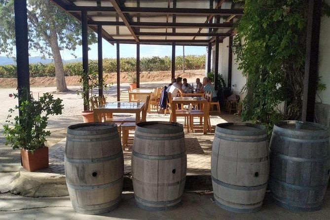 arrabida-palmela-azeitao-wine-and-tapas-4x4-land-rover-panoramic-private-tour