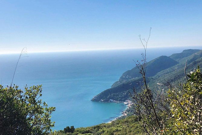 arrabida-palmela-azeitao-wine-and-tapas-private-tour