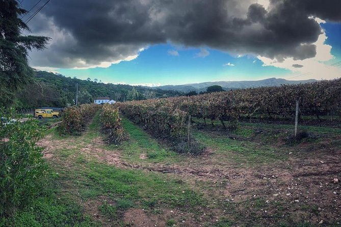 arrabida-palmela-azeitao-wine-and-tapas-private-tour