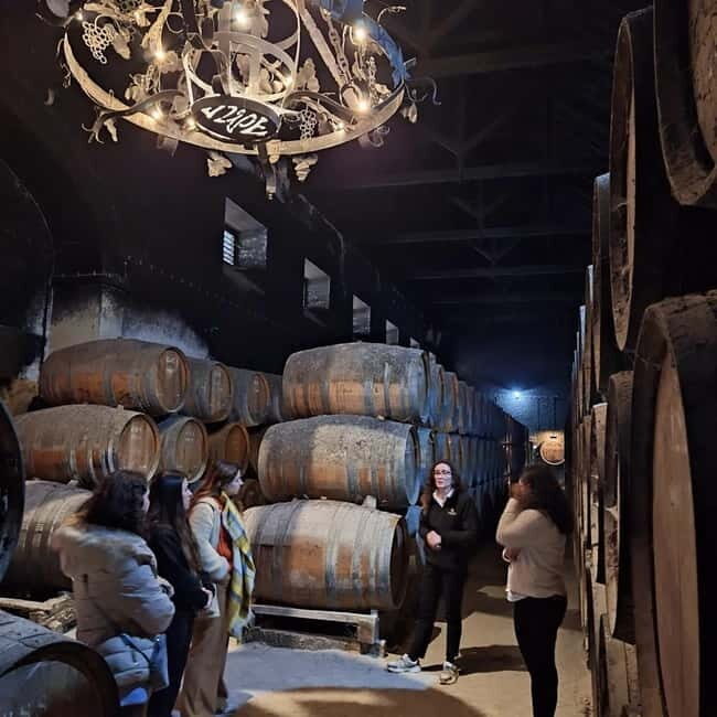Arrábida - Sesimbra: Jeep Tour and Wine Tasting at Azeitão - What Travelers Can Expect