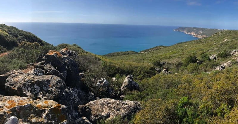 Arrábida - Sesimbra: Jeep Tour and Wine Tasting at Azeitão - Who Is This Tour Best For?
