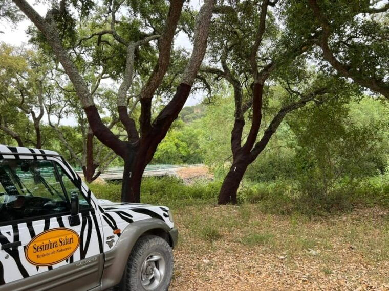 arrabida-sesimbra-jeep-tour-and-wine-tasting-at-azeitao