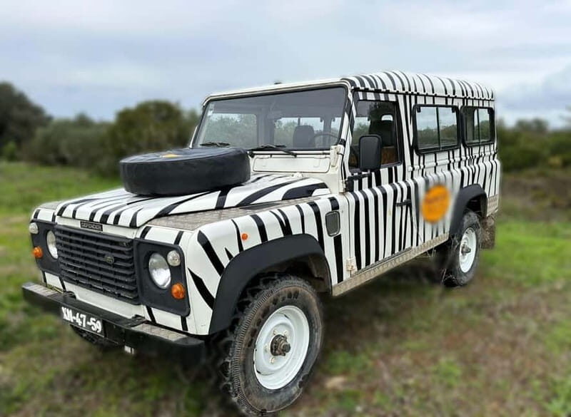 Arrábida - Sesimbra: Jeep Tour From Cabo Espichel to Lagoa - Who Is This Tour Best For?