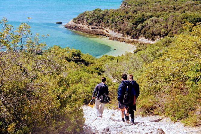 arrabida-snorkeling-adventure-with-transfer-from-lisbon