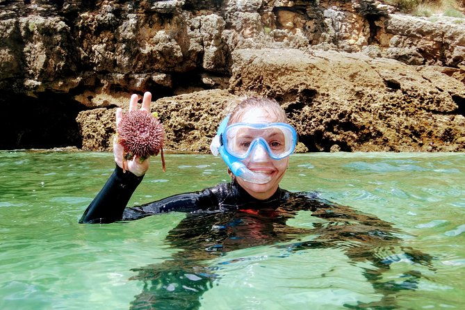 arrabida-snorkeling-adventure-with-transfer-from-lisbon