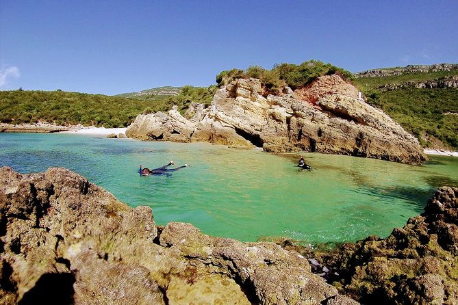 arrabida-snorkeling-adventure-with-transfer-from-lisbon