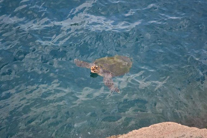 arraial-do-cabo-tour-from-rio-de-janeiro-2