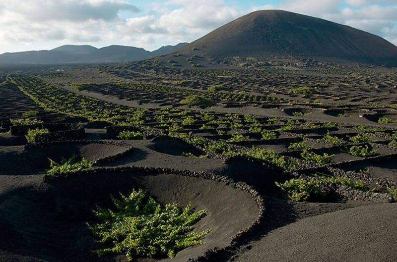 arrecife-playa-blanca-timanfaya-national-park-area-day-tour