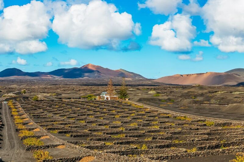 arrecife-timanfaya-and-green-lagoon-for-cruise-passengers