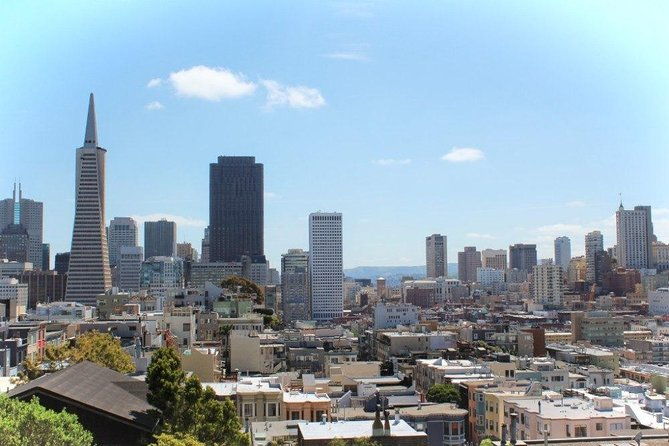 arrival-private-transfer-airport-sfo-to-san-francisco-in-luxury-van