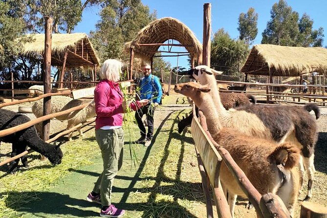 arrival-transfer-cusco-city-tour-private-service