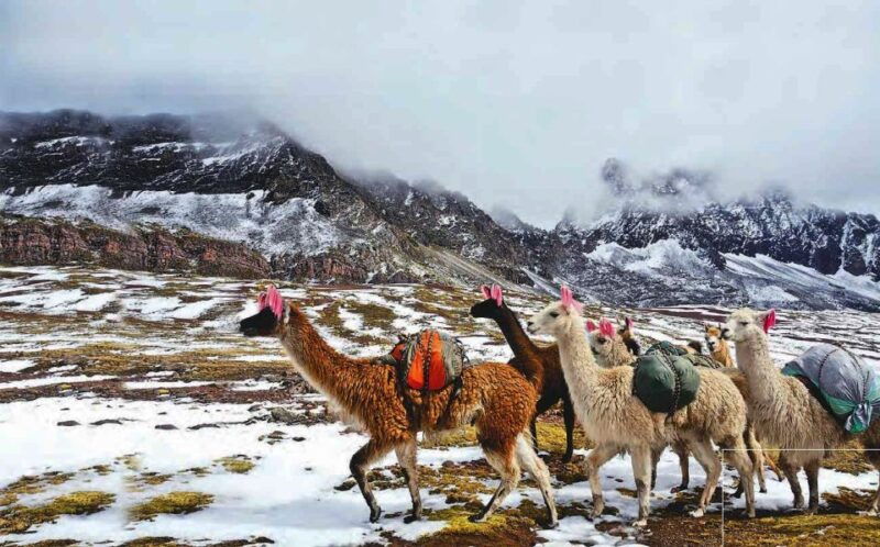 arrive-before-the-crowd-to-the-mountain-in-private-service