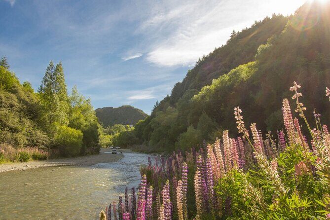 Arrowtown to Queenstown Bike Tour with Shuttle - The Value Proposition
