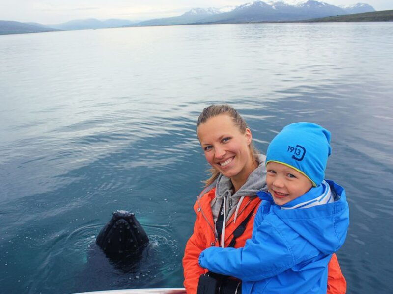 arskogssandur-whale-watching-boat-trip