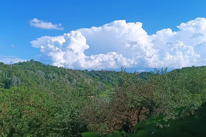 art-classes-in-monferrato-hills