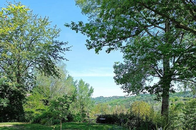art-classes-in-monferrato-hills