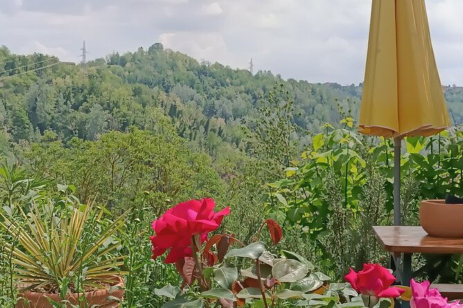 art-classes-in-monferrato-hills