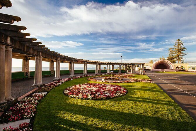 Art Deco Walking Private Tour from Napier Cruise Port - Key Points  