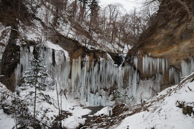 art-of-ice-nanajo-shichijo-otaki-snowshoe-tour-difficulty-medium