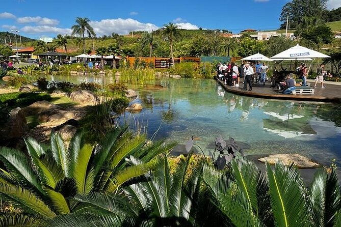art-of-wine-travel-through-the-so-called-wine-route-visiting-various-wineries