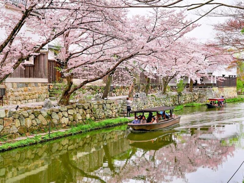 Art Pavilion × Night SakuraKansai Spring Day Tour - Final Thoughts