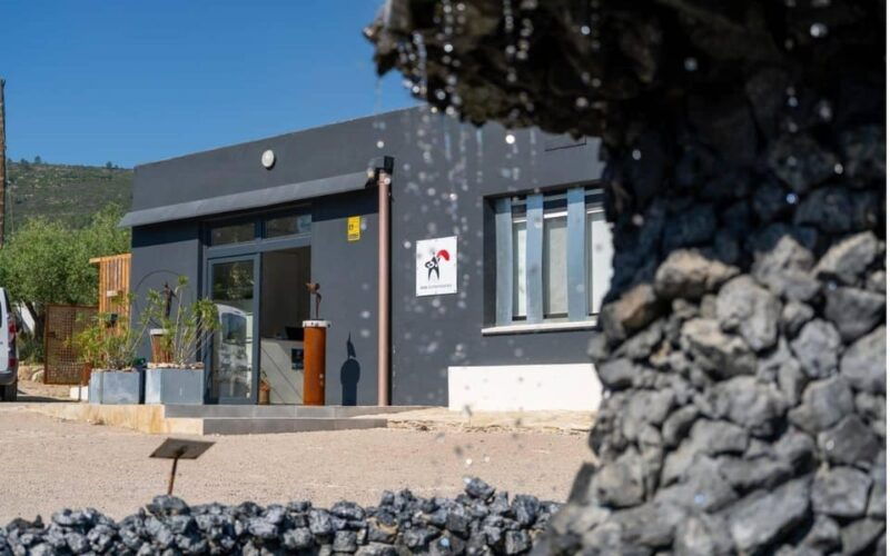 arte-contemporary-sculpture-park-and-art-gallery-visit