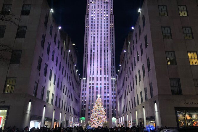 artful-holiday-lights-sights