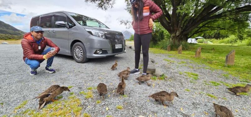 Arthurs Pass Alpine Explorer Day Tour from Christchurch - Otira Viaduct Lookout: Dramatic Engineering and Views
