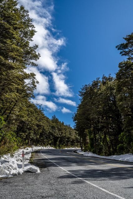 Arthurs Pass Day Tour From Christchurch via Castle Hill - Who Will Love This Tour?