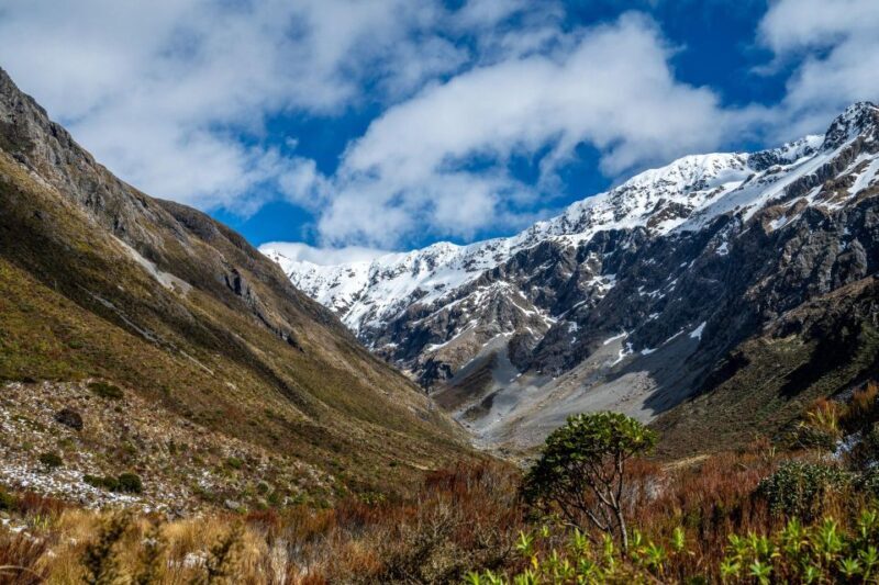 Arthur's Pass Day Tour From Christchurch with TranzAlpine - Final Thoughts
