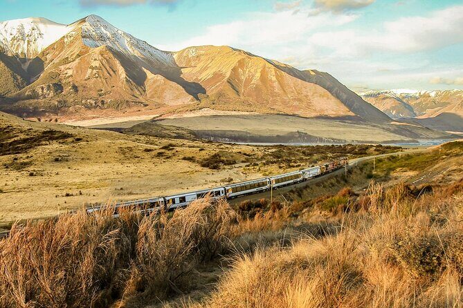 Arthur's Pass Discovery and TranzAlpine Train - Small Group Tour - Final Thoughts