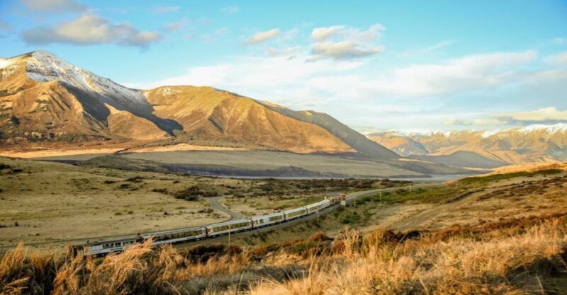 Arthur's Pass: TranzAlpine Train and Castle Hill Day Tour - Who Will Love This Tour?