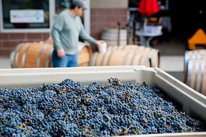 artisan-hill-wine-pass-in-woodinville