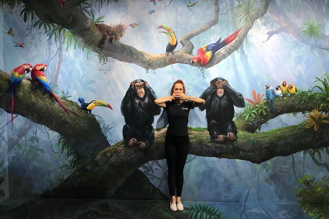 ArtVo Gold Coast  Queenslands First Trick Art Gallery - Practical Tips for Visiting ArtVo Gold Coast