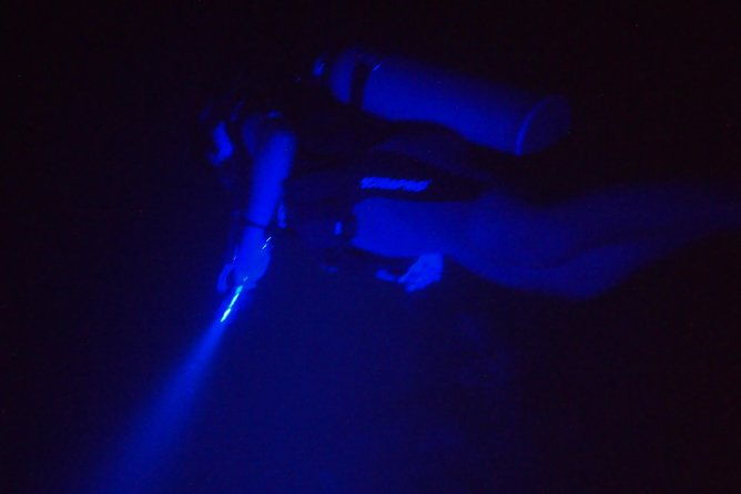 aruba-1-tank-guided-uv-night-dive-for-certified-divers-with-rental-equipment
