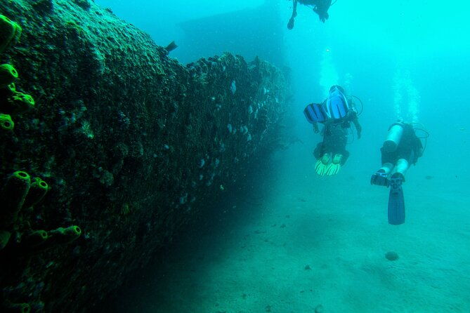 aruba-2-tank-dive-excursion-for-certified-divers