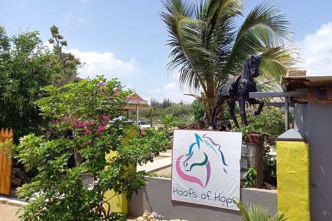 aruba-ecological-and-beach-horseback-ride