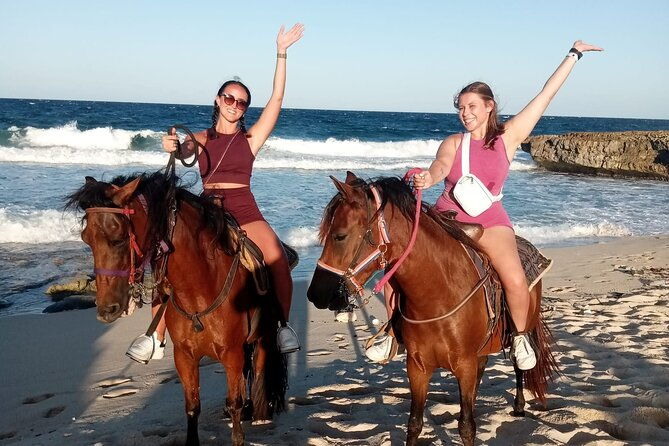 aruba-ecological-and-beach-horseback-ride