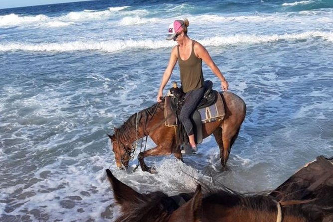 aruba-horseback-riding-tour-for-advanced-riders