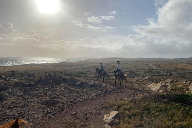 aruba-horseback-riding-tour-to-hidden-lagoon